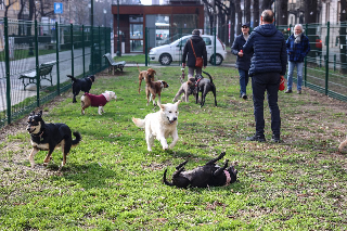 A Torino una nuova area cani, per la prima volta sponsorizzata